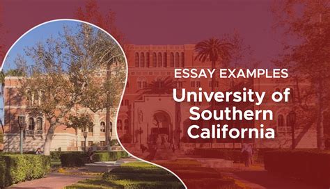 does usc have supplemental essays? exploring the nuances of USC's application process